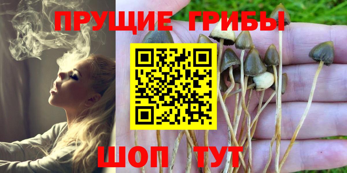 Приморско-Ахтарск  Галлюциногенные грибы мицелий  Вход с VPN 